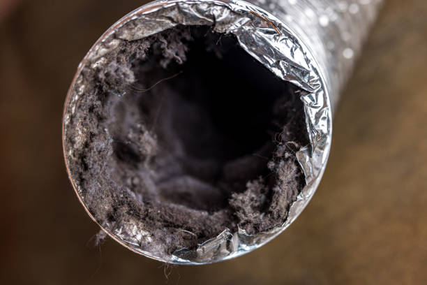 Best Air Vent Cleaning Services  in Elizabethtown, NC
