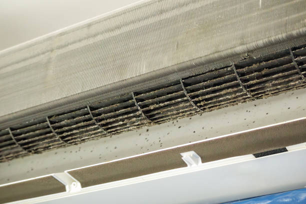Best Affordable Duct Cleaning Services  in Elizabethtown, NC